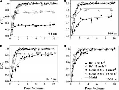 Coupled Effects of Pore Water Velocity and Soil Heterogeneity on Bacterial Transport: Intact vs. Repacked Soils